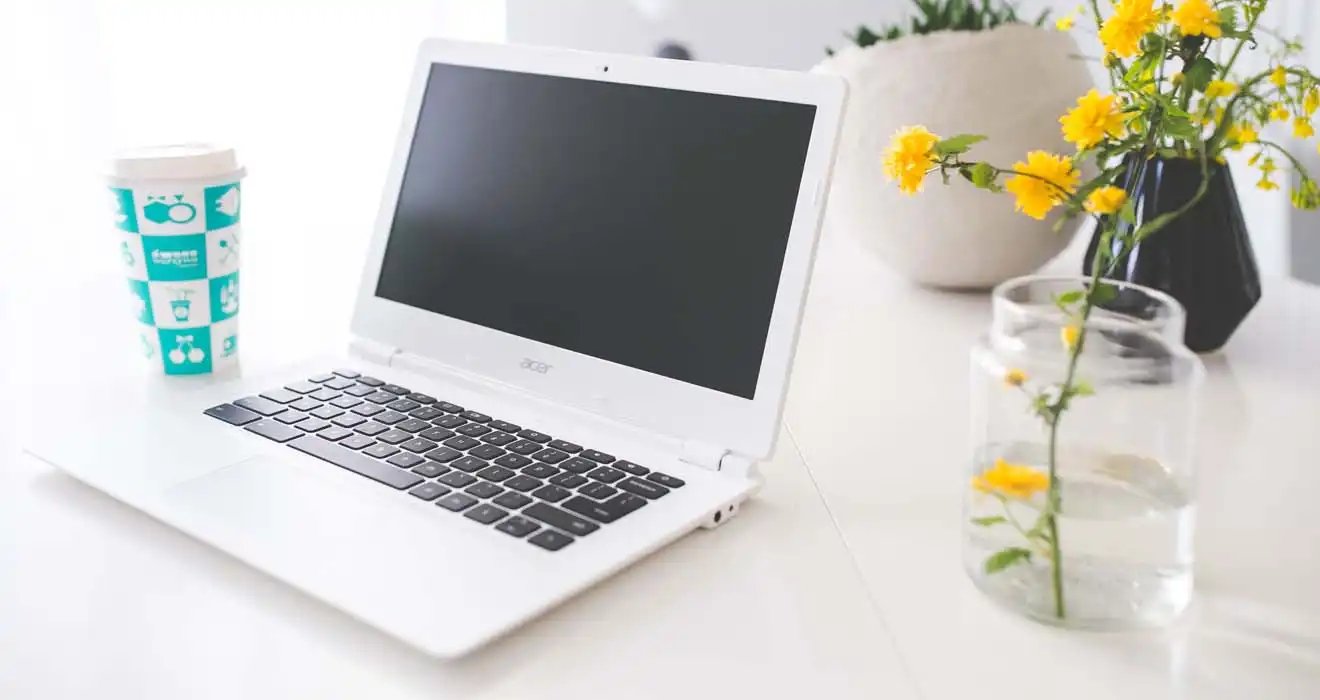 Ремонт ноутбуков Acer в Старой Купавне