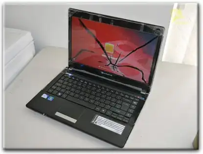 Замена матрицы Packard Bell в Старой Купавне